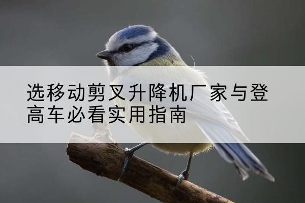 汉源电动升降机厂家-选移动剪叉升降机厂家与登高车必看实用指南