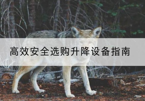 汉源升降货梯厂家推荐-*安全选购升降设备指南