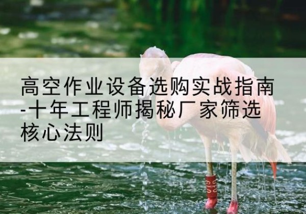 汉源剪叉式升降机厂家-高空作业设备选购实战指南-十年工程师揭秘厂家筛选核心法则